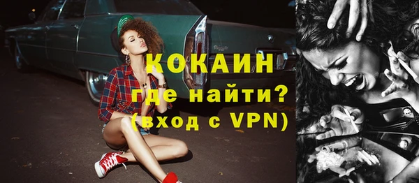 мдпв Новозыбков